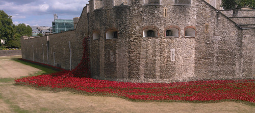Poppies Towern